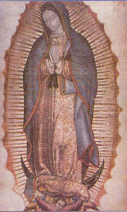 Our Lady of Guadalupe